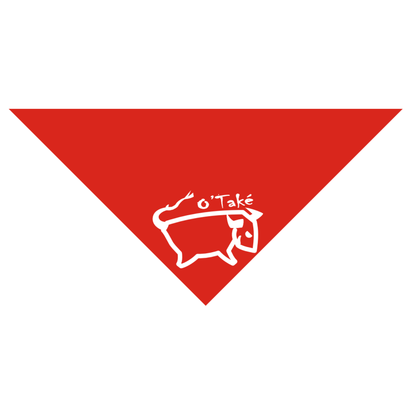 FOULARD "TORO O'TAKE"